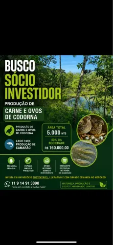 Busco sócio investidor