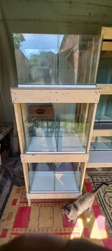 Bateria com 6 aquários 30x30x30