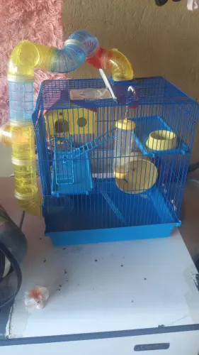 Gaiola ideal para hamister, porquinho da india
