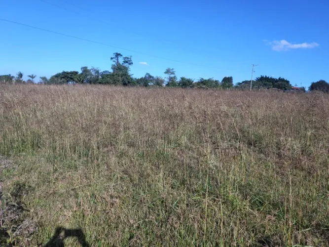 Imóvel para venda possui 60500 metros quadrados em Zona Rural - Porangaba - SP