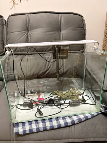 Aquário Completo 50 Litros