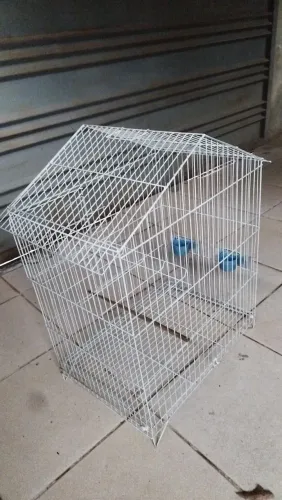 Gaiola Grande 80cm para calopsita e pássaros grandes