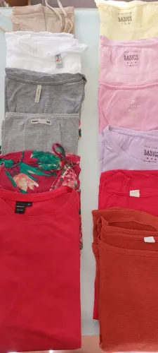 Lote camisetas e blusinhas 12 pecas