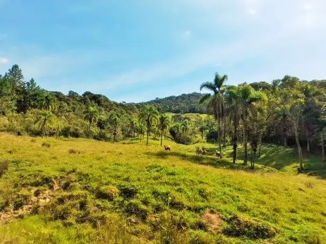 Sítio 212.234 m², Rancho, Rio, Pastagem, Rio Forquilha, São Pedro De Alcântara