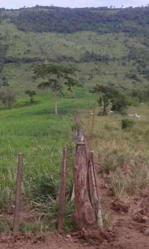 Fazenda em são francisco de Assis/ Barra do garças, 634 hect. 30 mil por hect.