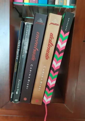 Livros ficção e outros