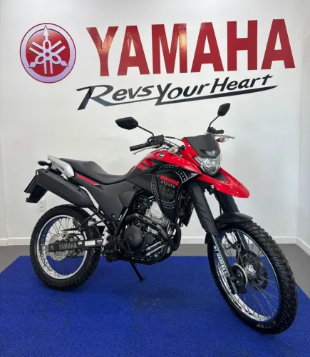 XTZ 250 LANDER 249cc/LANDER BLUEFLEX/ABS