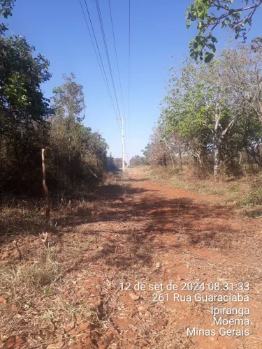 Capinas e limpeza de lotes e grandes áreas.