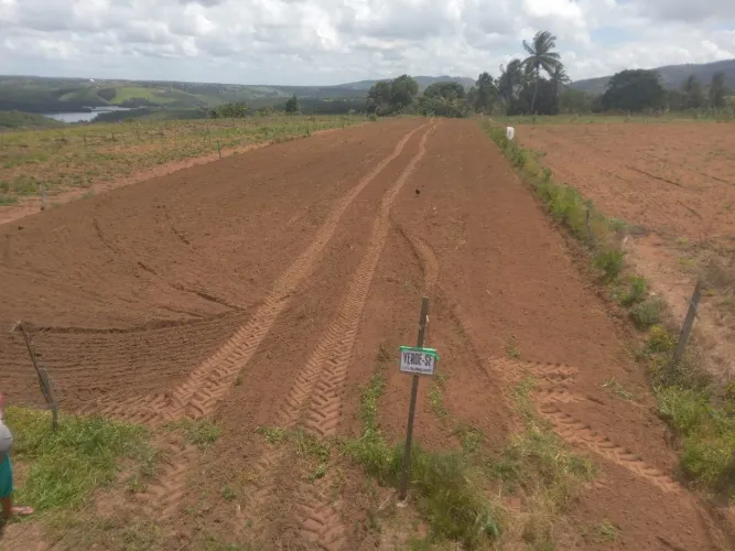 Terreno 1 terrefa na palmeiras/malhador