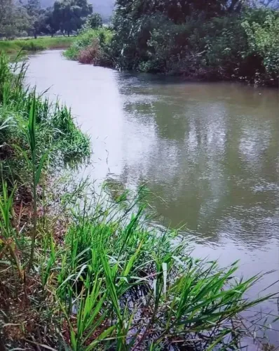 Chácara para Venda em Piracaia, Centro