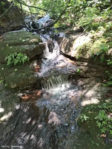 Sítio / Chácara para Venda em Taciba, Corrego Azul, 3 dormitórios, 2 banheiros