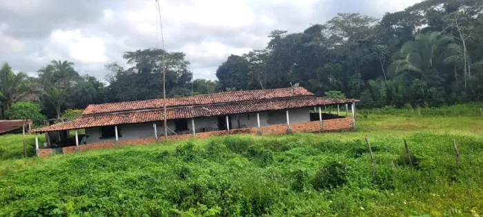 Alugo Fazenda Itapecuru Mirim MA, Toda no Momnbaça