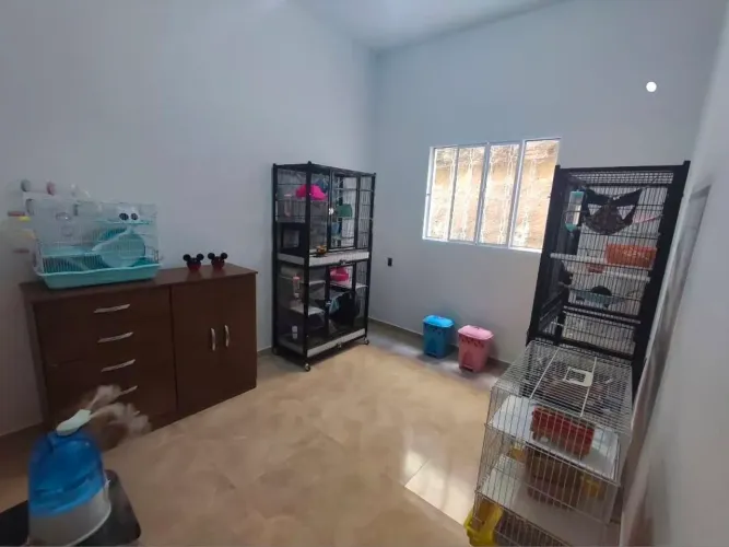Hospedagem para Roedores 