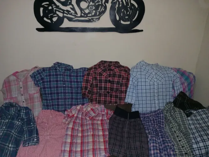 Lote de 36 Camisas Xadrez feminina tudo por R$70.00