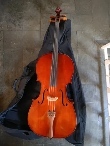 violoncelo eagle CE200 4/4 regulado