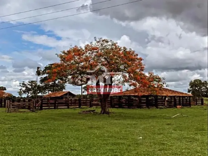 Fazenda 445 Alqueires (2.154 Hectares) São Miguel do Araguaia  GO