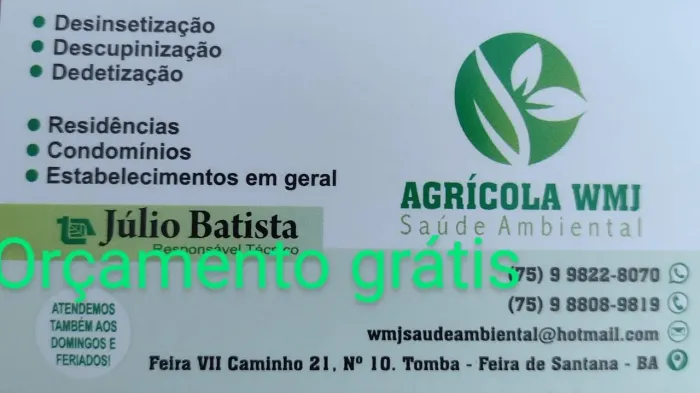 Dedetização
