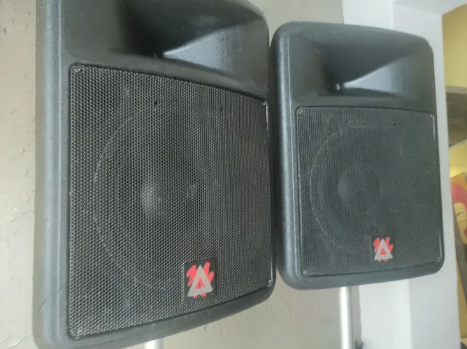 PAR Caixa peavey impulse200madeUSA