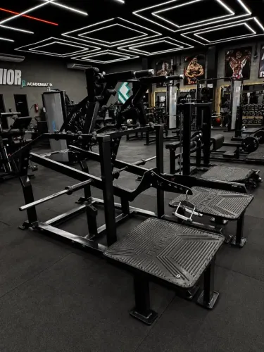 Belt Squat