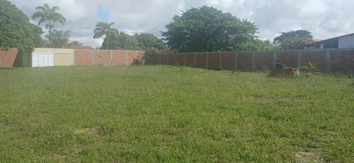 Terreno no Mosqueiro no Matapoã 2