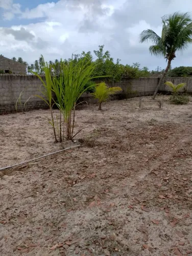 Terreno em Sirinhaém - perto da beira mar - Oportunidade!!
