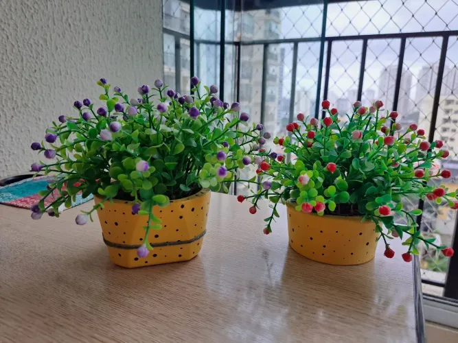 Dupla de vasos
