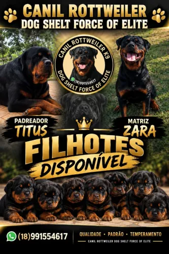 Rottweiler pedigree CBKC