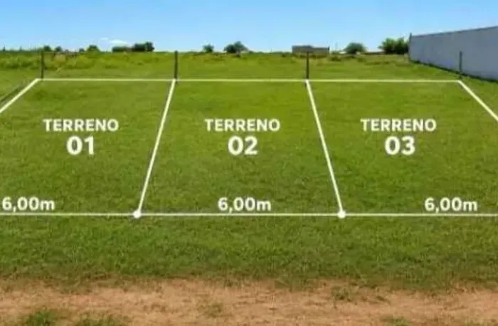 TERRENO