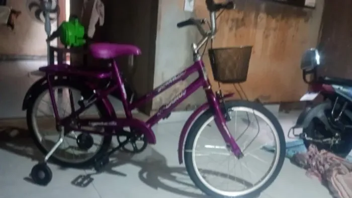 Bicicleta infantil feminina