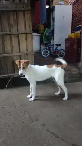 Doação