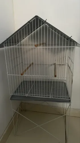 Gaiola para aves ornamentais , jandaias, calopsitas tem conversa no valor