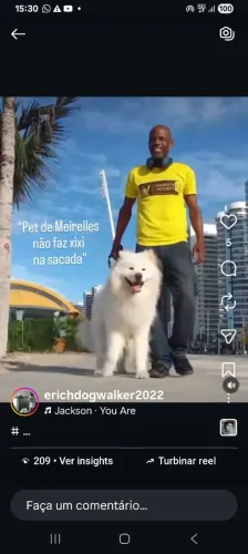 Passeio de pet.