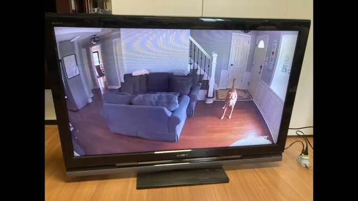 TV Sony Bravia 46 Tela de cristal líquido - HDMI não funciona
