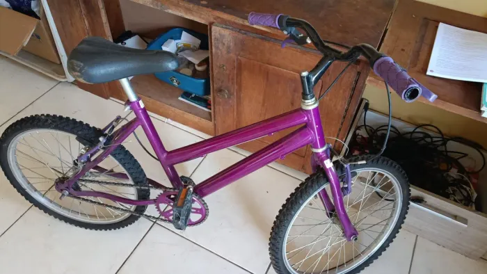 Bicicleta