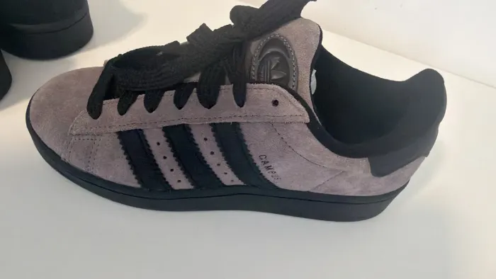 Adidas campus bege novo