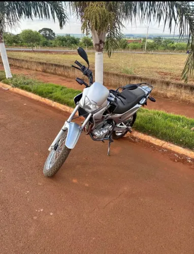 Falcon NX 2008