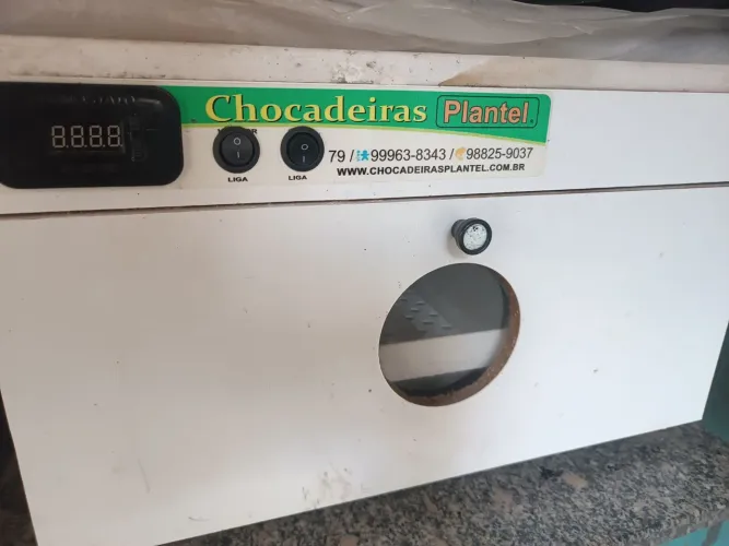 CChocadeira plantel! ( Capacidade 90 ovos cada)