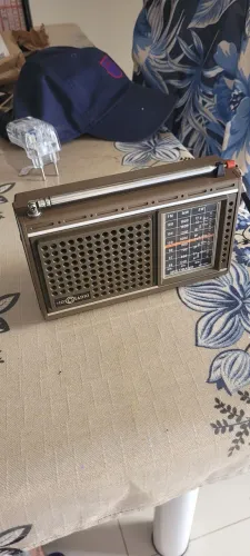 MOTORADIO RPFM31
