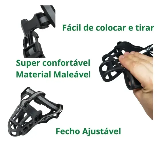Focinheira