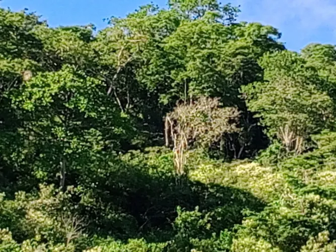 Oportunidade. Vendo 2 hectares na Br 232 em Gravatá preço de