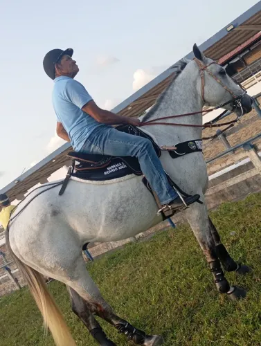 Cavalo tordilho de direita, quem montou ganhou