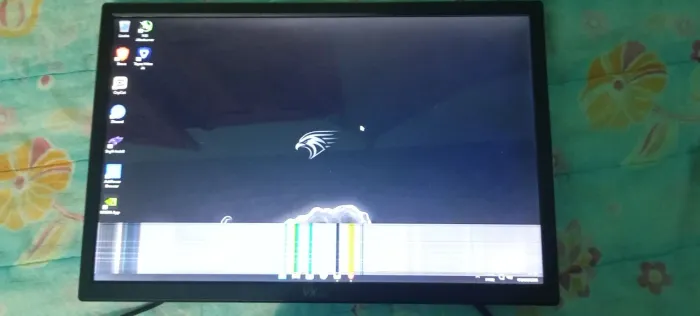 Monitor Vx Pro 19 polegadas 60Hz