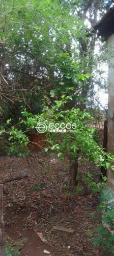Terreno à venda, Costa Telles - UBERABA/MG