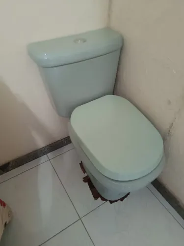 Assento sanitário verde