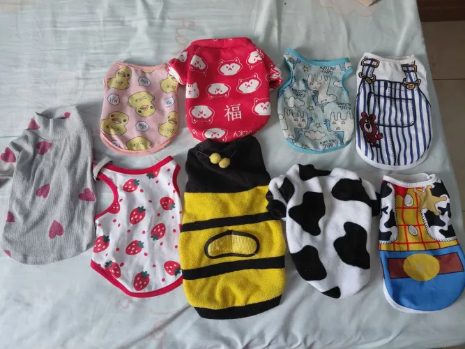 Lindas Roupas para piencher ou cachorro pequeno conservadas