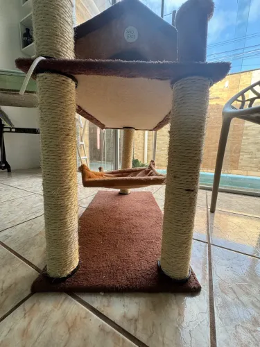 Acessórios para gato