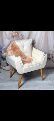 #Poltrona Decorativa