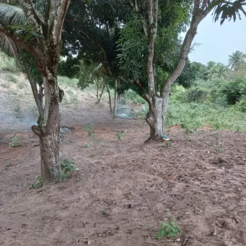 Vende-se terreno no Planalto