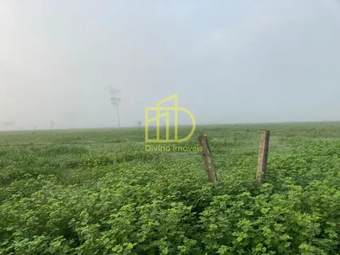 FAZENDA SANTA MARTA SÃO FÉLIX DO XINGU/PA