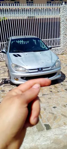 Peugeot 206 Feline 1.4/ 1.4 Flex 8V 5P 2005